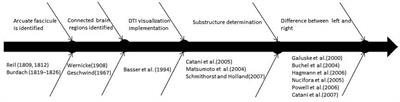 Exploring the arcuate fasciculus from a clinical perspective